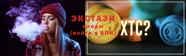 тгк Вяземский