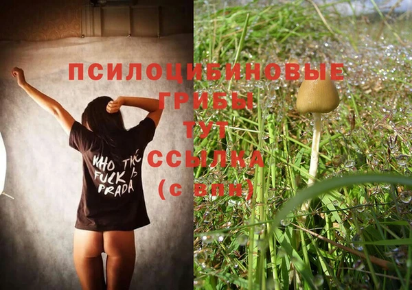 мескалин Вязьма