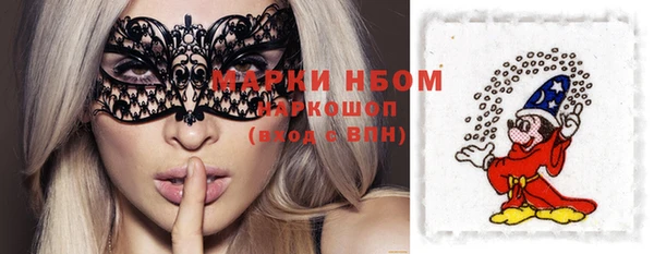 тгк Вяземский